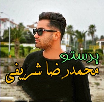 محمدرضا شریفی پرستو